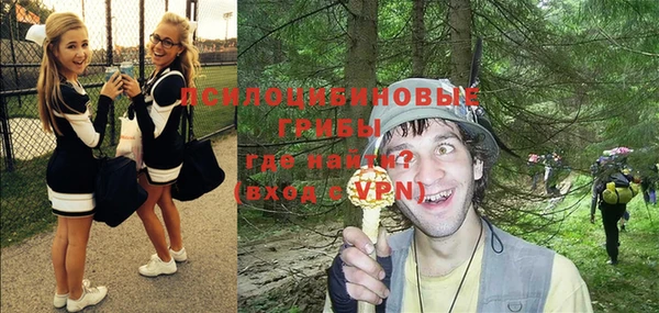 не бодяженный Алзамай