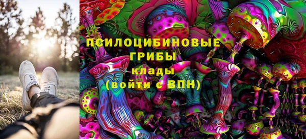 бутират Алексин