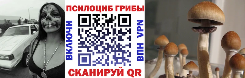 Псилоцибиновые грибы Cubensis  Долинск 